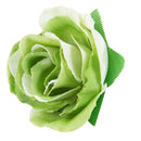 50 pcs 3cm artificial silk roses heads wedding flower decoration, green M2B5