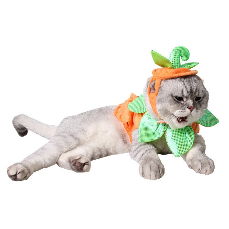 Halloween Pet Supplies Factory Dog Hat Pumpkin Set Pumpkin Festival Hallowe S6I9