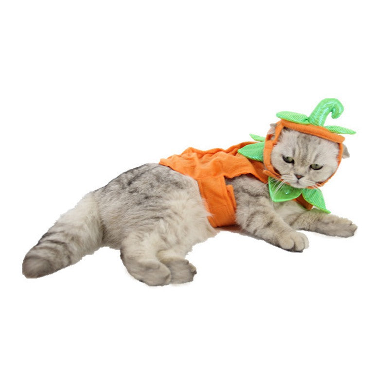 Halloween Pet Supplies Factory Dog Hat Pumpkin Set Pumpkin Festival Hallowe S6I9
