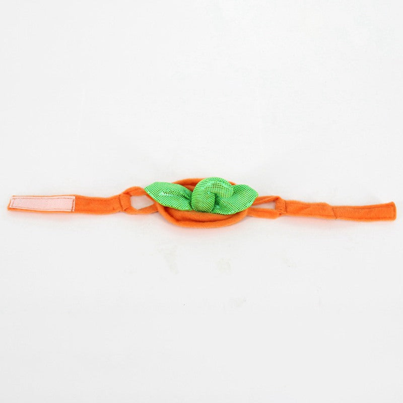 Halloween Pet Supplies Factory Dog Hat Pumpkin Set Pumpkin Festival Hallowe S6I9