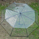 Transparent Umbrella Automatic Umbrella Rain Women Men Sun Rain Auto Umbrel
