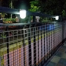 LUSTREON Solar 3 LED Wall Lamp Outdoor Waterproof Fence Garden Path Light Double Color Temperature