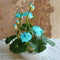 10 pcs/pack Bowl Lotus Seed Hydroponic Plants Aquatic Plants Flower Seeds P