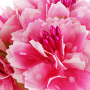 6pcs 4cm Artificial carnation flowers Stamen silk flower bouquet for weddin F5X3