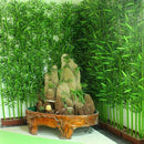 Egrow 60Pcs/Pack Chinese Mini Moso Bamboo Seeds Phyllostachys Heterocycla Courtyard Moso Bamboo for DIY Home Garden Plant