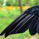 Halloween prop feathers Crow bird large 25x40cm spreading wings Black Crow  T1C8