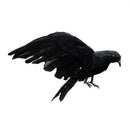 Halloween prop feathers Crow bird large 25x40cm spreading wings Black Crow  T1C8