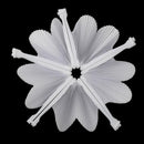 48 pcs Fan White Paper Deco Decoration Wedding Party Gift for the Guests An U6A9