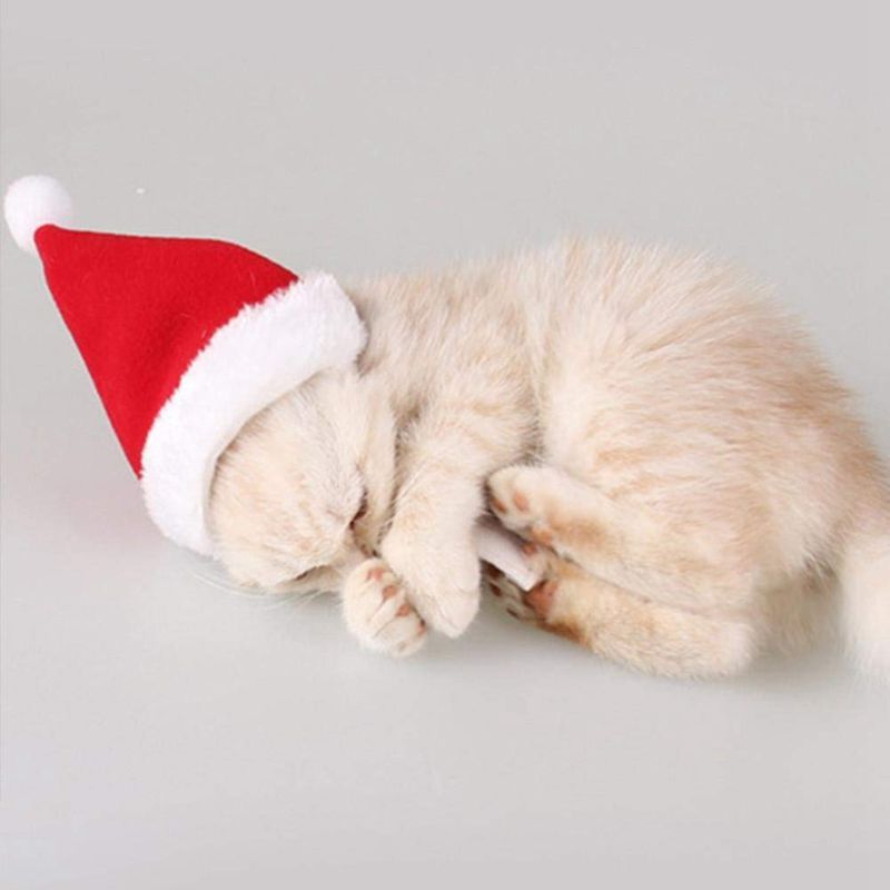 Christmas Cute Set Cat Puppy Red Hat With Muffler Fashion Gift M I5O2
