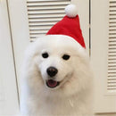 Christmas Cute Set Cat Puppy Red Hat With Muffler Fashion Gift M I5O2