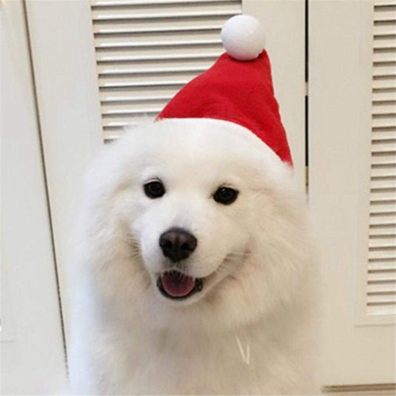 Christmas Cute Set Cat Puppy Red Hat With Muffler Fashion Gift M I5O2