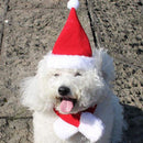 Christmas Cute Set Cat Puppy Red Hat With Muffler Fashion Gift M I5O2