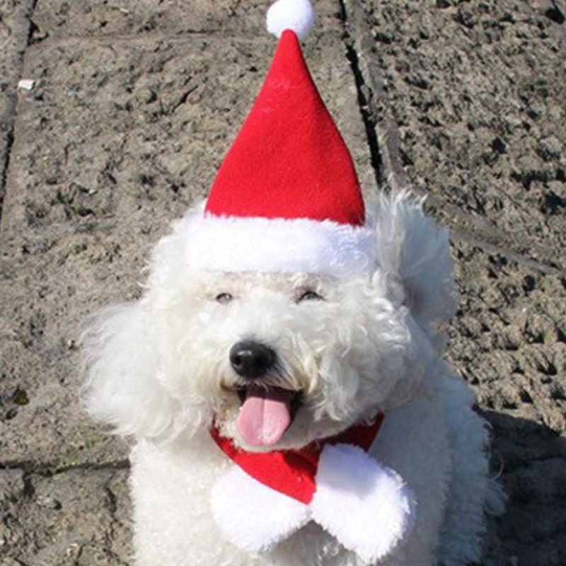 Christmas Cute Set Cat Puppy Red Hat With Muffler Fashion Gift M I5O2