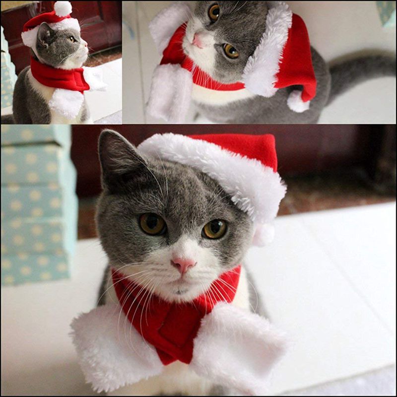 Christmas Cute Set Cat Puppy Red Hat With Muffler Fashion Gift M I5O2
