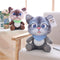20/30 CM Cute Soft Stuffed Cat Seat Dolls Pillow Cushion Plush Animal Toy for Kids Gifts