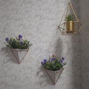 Wall Hanging Container Storage Rack Household Innovative Indoor Living Room M7I7