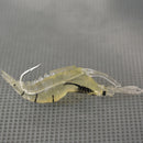 10pcs 4CM Soft Shrimp Fishing Lure Single Hooks Soft lure Realistic Grass S