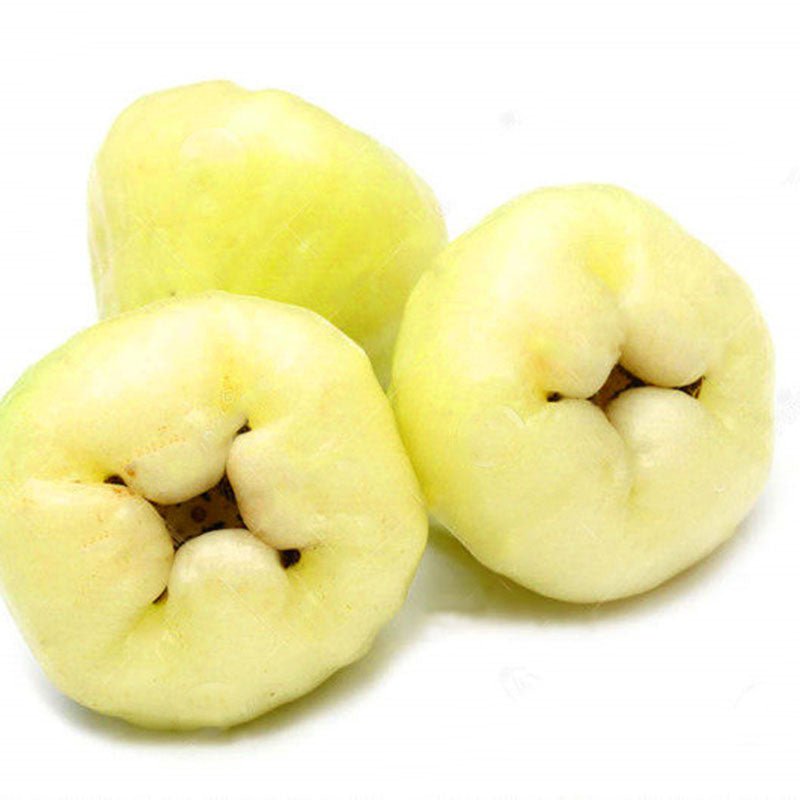 Egrow 100 PCS/Pack Jambu Air Seeds Rose Wax Apple Bonsai Rare Fruit Flores for Home Garden Planting