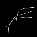 Fly Fishing Braided Loop Connector 50LB Leader Loops For Fly Line 10pcs/Set