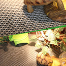 Three-in-one Humidification Moisturizing Carpet Reptile Climbing Pet Cleaning Mat