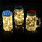 Battery Powered 10M 100LEDs Waterproof Copper Wire  String Light For Wedding Party Decor