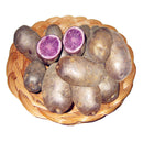 Egrow 100Pcs/Pack Purple Sweet Potato Seeds Nutrition Green Vegetable Bonsai Farm Plants