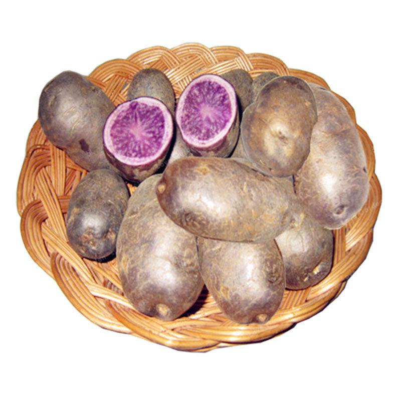 Egrow 100Pcs/Pack Purple Sweet Potato Seeds Nutrition Green Vegetable Bonsai Farm Plants