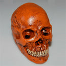 Life Size Human Anatomical Anatomy Resin Skull Head Skeleton Medical Teaching Model