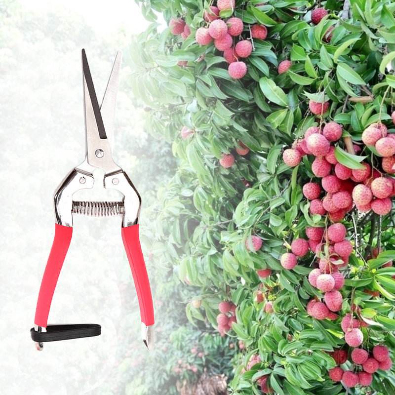 Garden Pruning Scissors Plant Cutter Flower Fruit Grape Scissors
