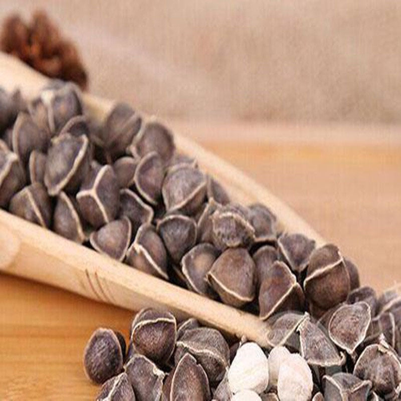 Egrow 10 Pcs/Pack Moringa Seeds Home Garden Plants Seeds Garden Decoration