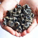 Egrow 50Pcs/Pack Agaric Seeds Healthy Edible Vegetable Mushroom Black Fungus Plants Seeds