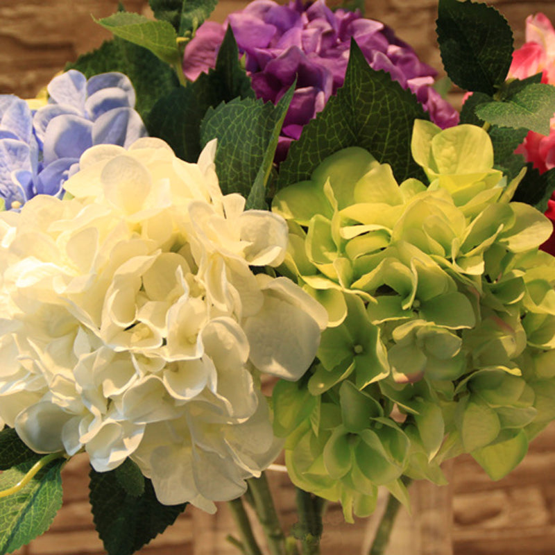 Egrow 50Pcs Vanilla Strawberry Hydrangea Flower Seeds Planting Flower Bonsai Tree Seeds