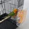 Automatic Smart Bird Feeders Starling Parrot Food Containers Transparent Pet Feeder Devices