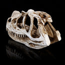 Crafts Dinosaur Resin Skull Fossil Model Home Office Water Aquarium Party Decorations