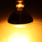 AC220V 250W Poultry Heat Incubator Lamp Infrared Pet Bulb Warm Light + Lampshade for Animals