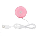 USB Ultrasonic Humidifier for Egg Incubator Accessories Enhance the Humidity