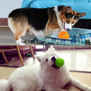 3 Pcs Pet Squeaky Chewing Balls Puppy Chew Toys Soft Stab Balls Cleaning Te