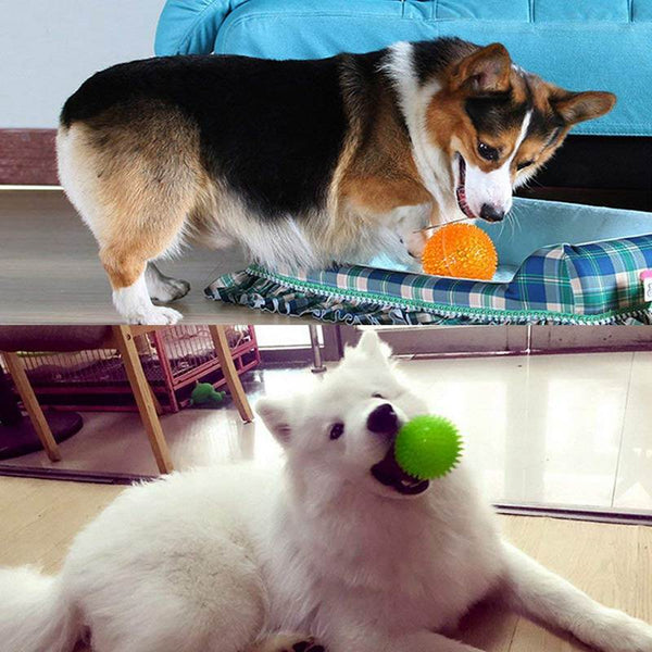 3 Pcs Pet Squeaky Chewing Balls Puppy Chew Toys Soft Stab Balls Cleaning Te