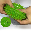 3 Pcs Pet Squeaky Chewing Balls Puppy Chew Toys Soft Stab Balls Cleaning Te