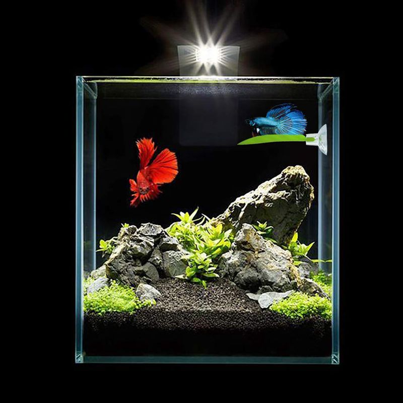 2 Pack Betta Hammock, Betta Fish Leaf Pad, Plastic Aquarium Plants With Suc