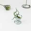 20 Pack Air Plant Stand Container Tillandsia Holder, iron Wire Stand Plant DY8Y9