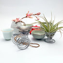 20 Pack Air Plant Stand Container Tillandsia Holder, iron Wire Stand Plant DY8Y9