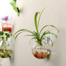 Creative Wall Hanging Transparent Glass Vase Hydroponic Living Room Home Decor
