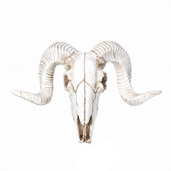 Wall Hanging Resin Ram Skull Ornament Sheep Head Animal Art Sculpture Decorations