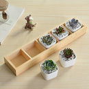Fleshy Flower Iron Ceramics Flowerpot Wooden Box Succulent Plant Flower Pot