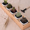 Fleshy Flower Iron Ceramics Flowerpot Wooden Box Succulent Plant Flower Pot
