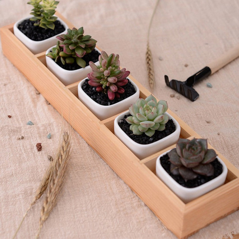 Fleshy Flower Iron Ceramics Flowerpot Wooden Box Succulent Plant Flower Pot
