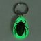 Glow-In-The-Dark Real Insect Keychain (Green Chafer) G1D4
