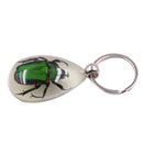 Glow-In-The-Dark Real Insect Keychain (Green Chafer) G1D4