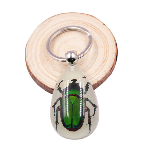 Glow-In-The-Dark Real Insect Keychain (Green Chafer) G1D4